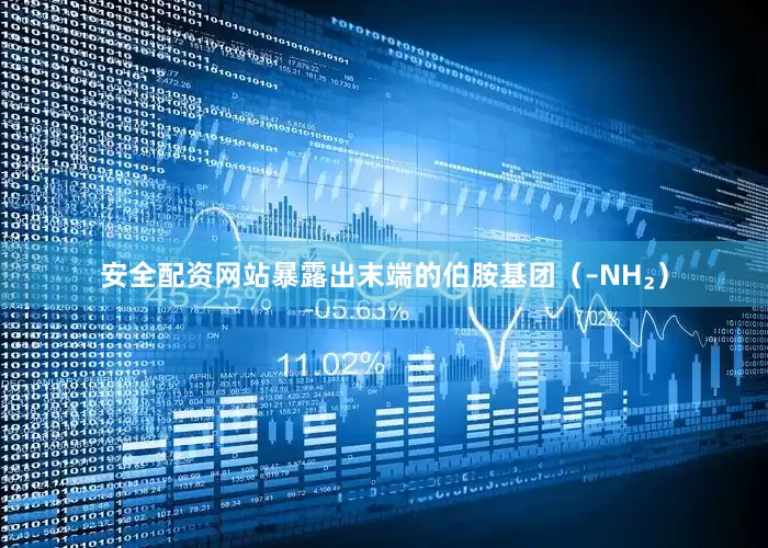 安全配资网站暴露出末端的伯胺基团（–NH₂）