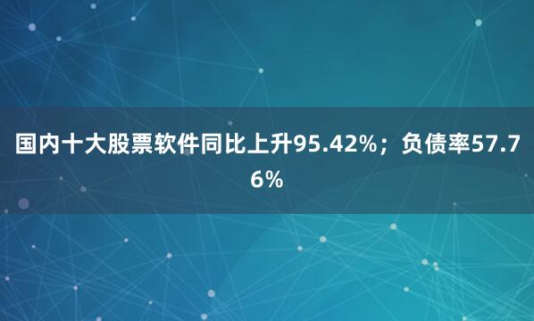 国内十大股票软件同比上升95.42%；负债率57.76%