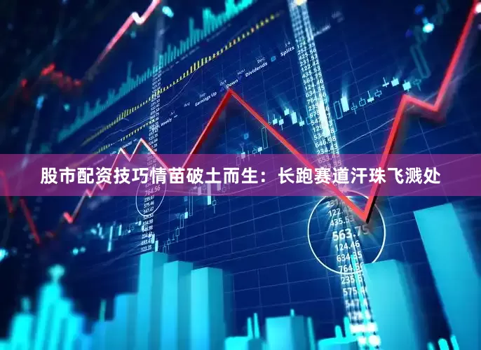 股市配资技巧情苗破土而生：长跑赛道汗珠飞溅处